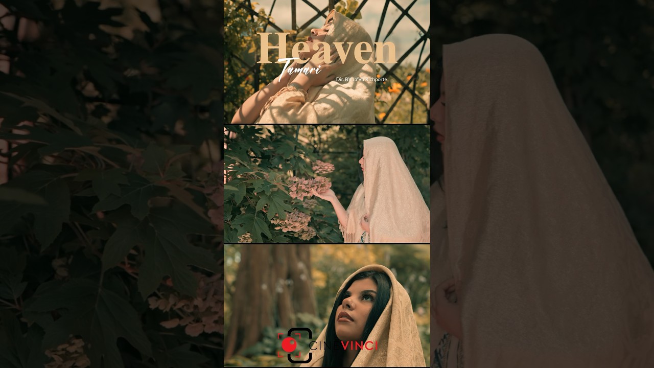 Shot this music video on the Red Komodo and Canon R5c full video otw 
