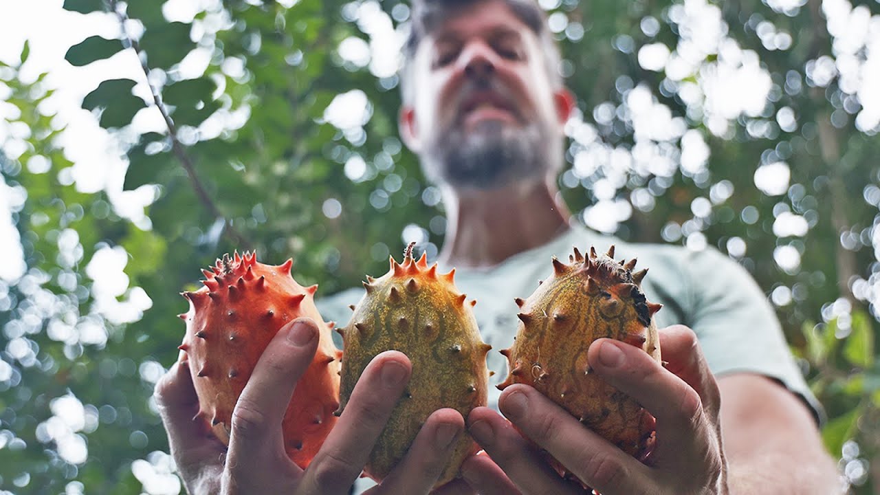 🚫 James Prigioni TOLD Us NOT to Grow These! 🚫