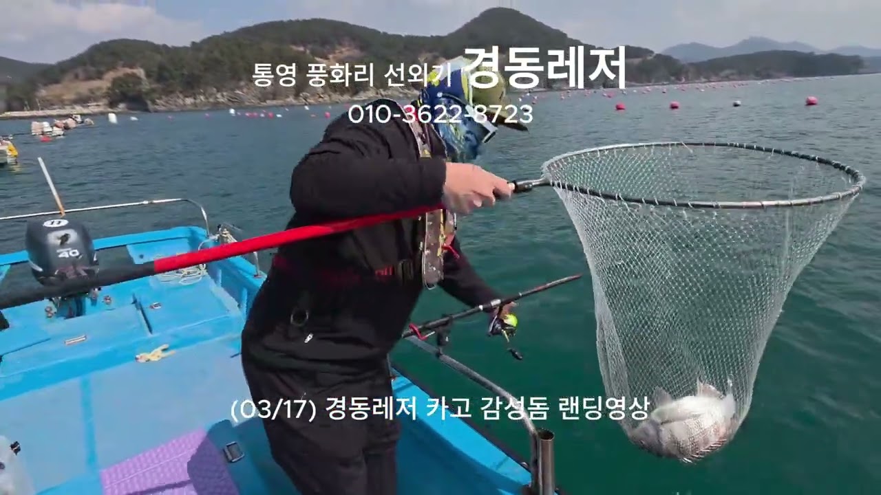 (03/17) 풍화리 선외기 경동레저 카고 감성돔 조과#풍화리 #흘림낚시#경동레저#선외기#통영 선외기#흘림찌낚시#카고낚시#전어