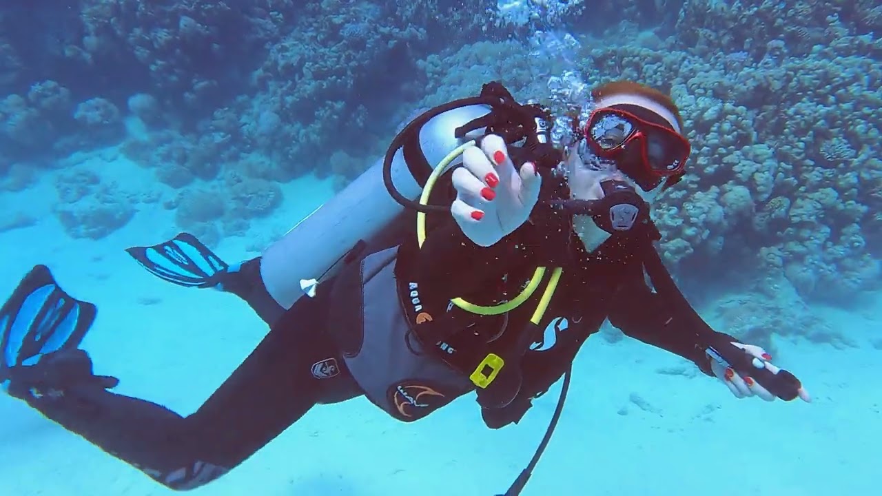 Dive nr.5, Egypt Marsa Alam, Aurora bay, Gabel El Rosas Nurkowanie