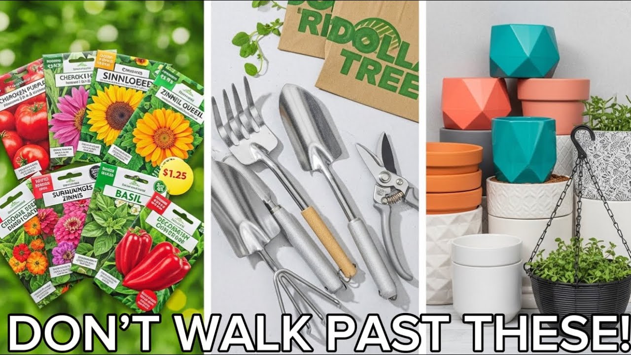 Most People Walk Past These Dollar Tree Garden Finds That’s a Mistake (2026)