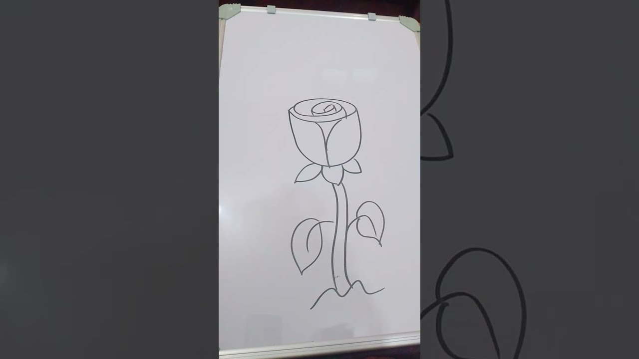 Vandana art 999 is live