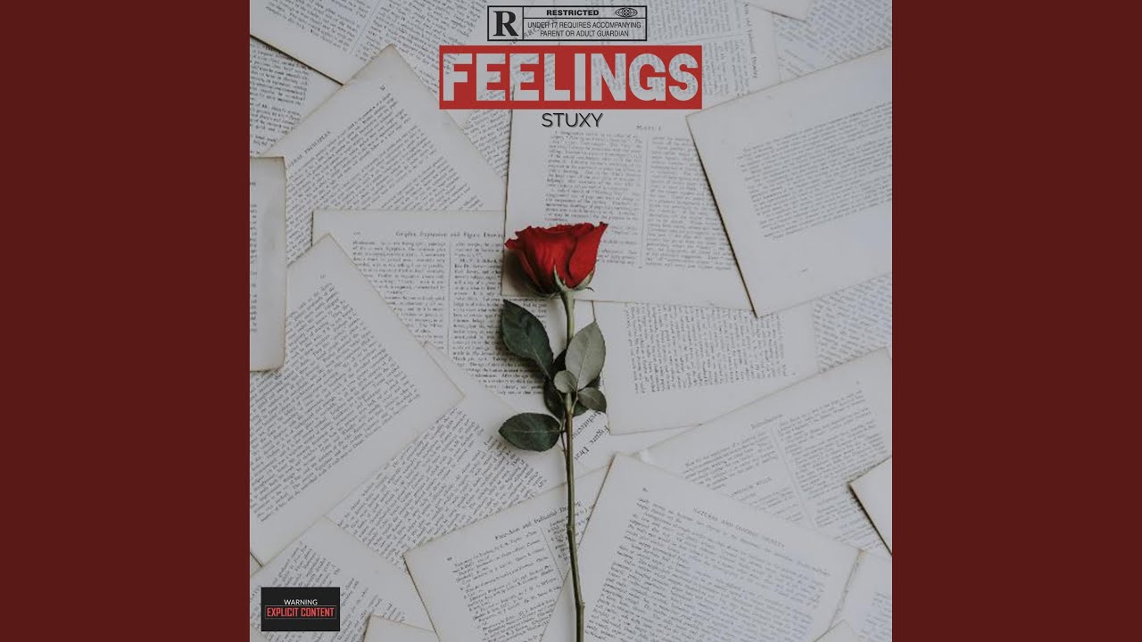 Feelings