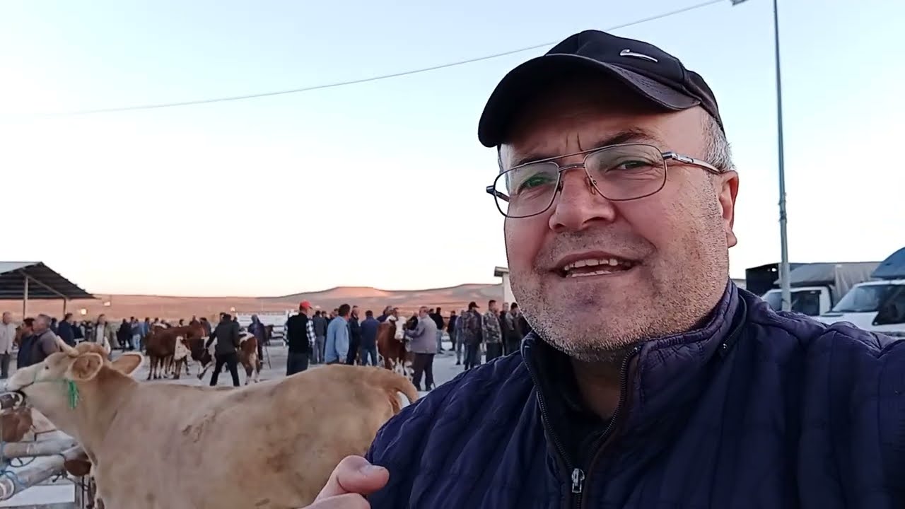 ÇORUM SUNGURLU HAYVAN PAZARI 25 EYLÜL ÇEKİMİ 2.BÖLÜM 27 EYLÜL 2025