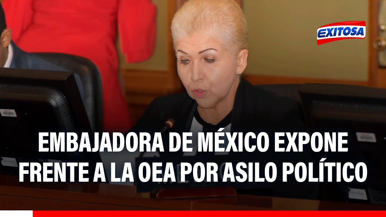 🔴🔵 Embajadora de México ante la OEA: 