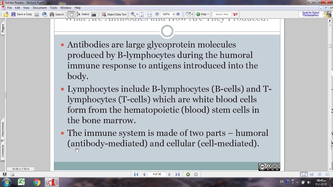 المحاضرة السادسة ELISA