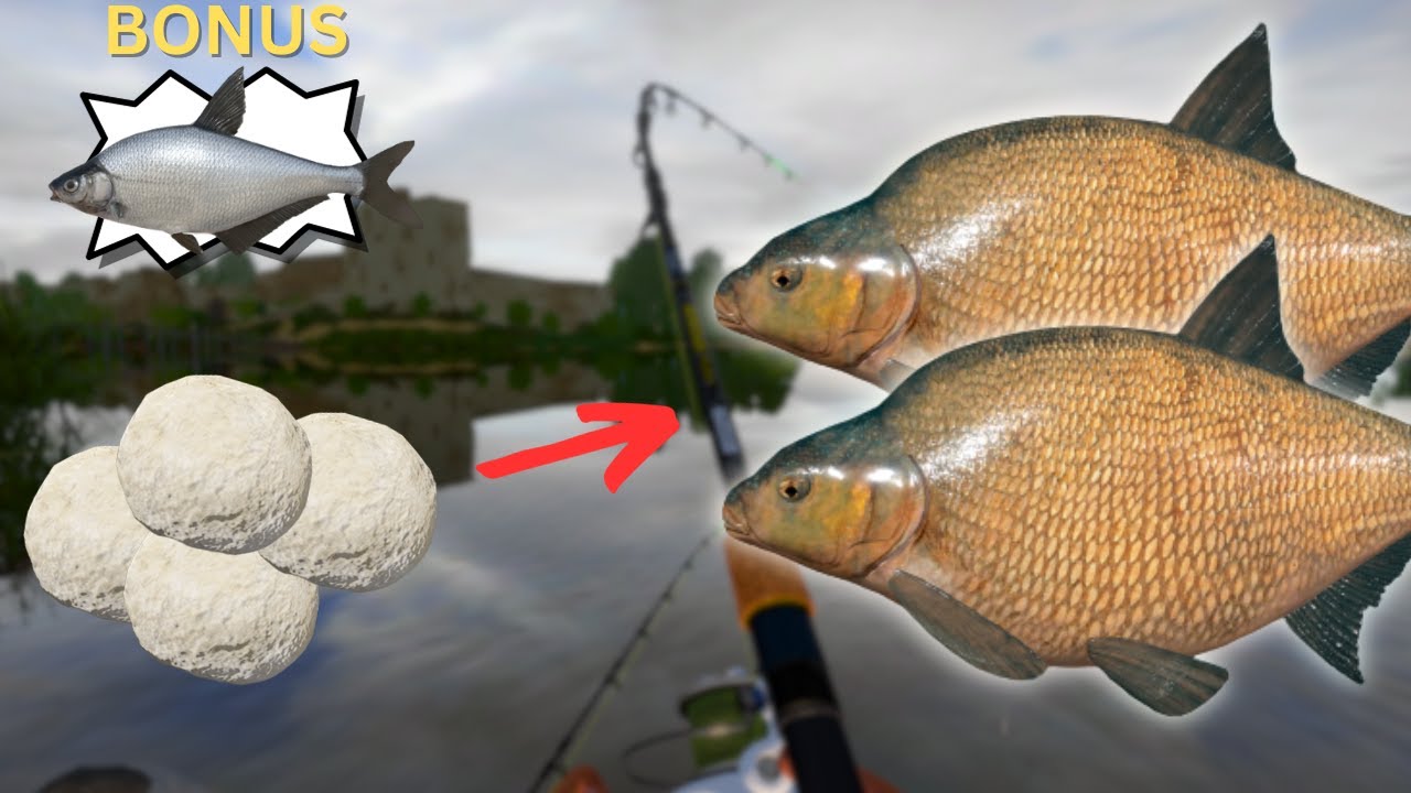 WHERE TO FISH FOR BREAM IN VOLKHOV RIVER! | #792 Russian fishing 4