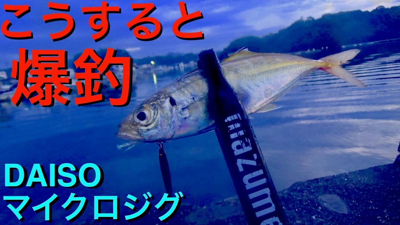 アジングいやメタルアジングのはずが！ダイソーマイクロジグこうすれば良く釣れる。爆釣します【ライトゲーム 】