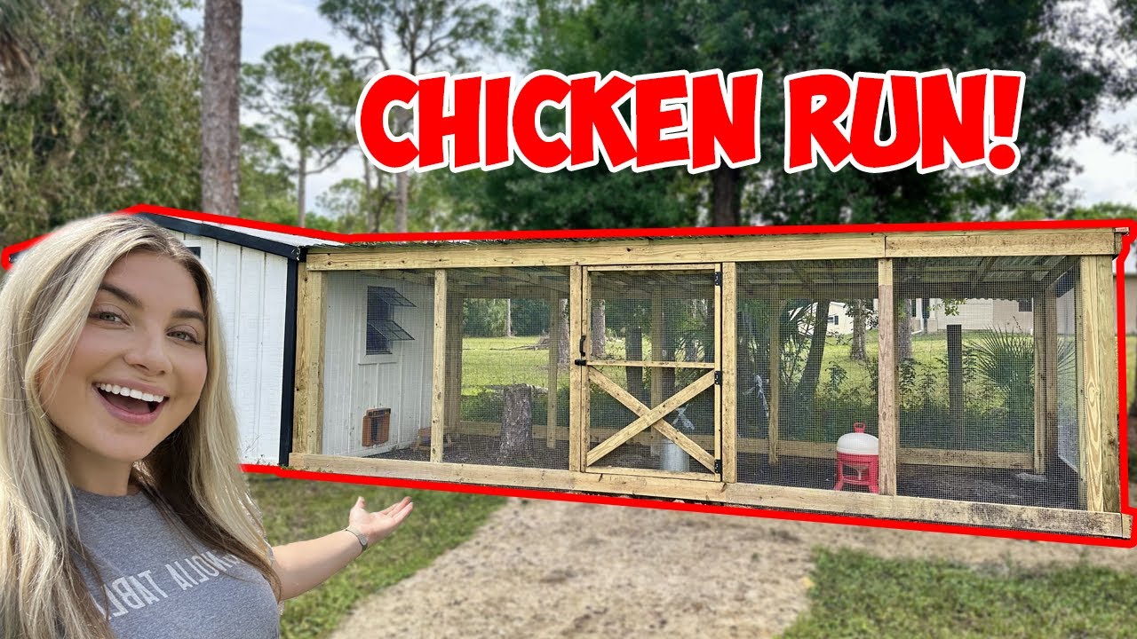 BUILDING A MASSIVE CHICKEN COOP RUN!