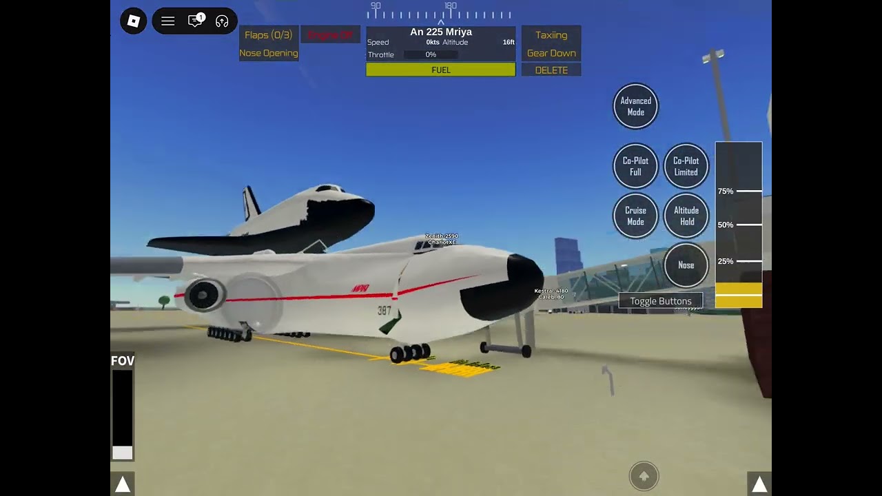 Black bird and antonov flying