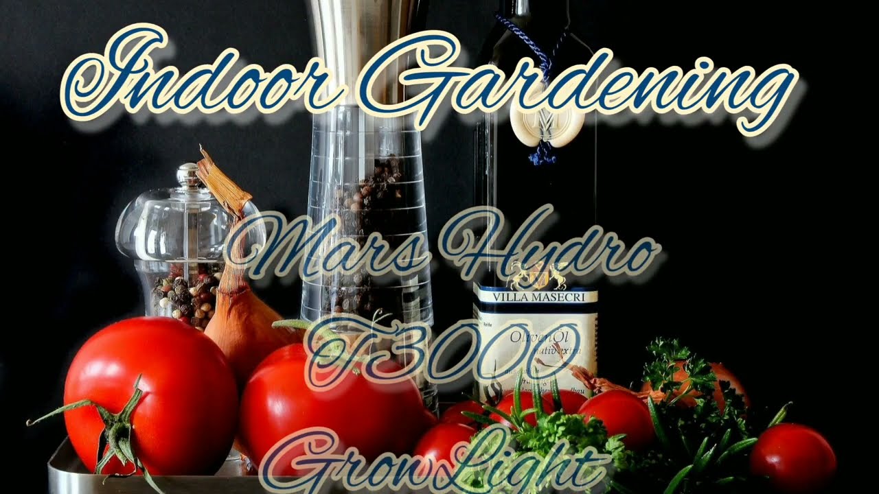 Indoor Gardening - We Got A New Light - Mars Spectra TS3000 450 W LED Glowlight