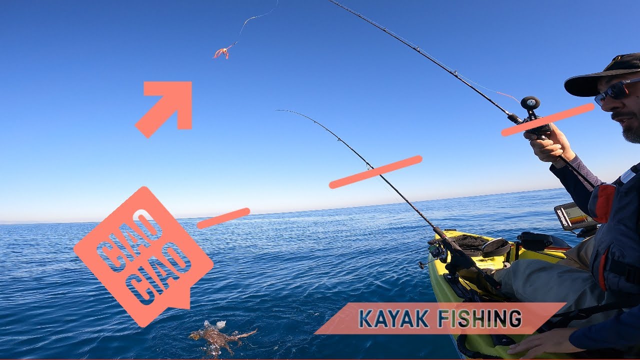 IL POLPO MI FRIENDZONA - kayak fishing SEPPIE A SCARROCCIO E POLPI FURBASTRI