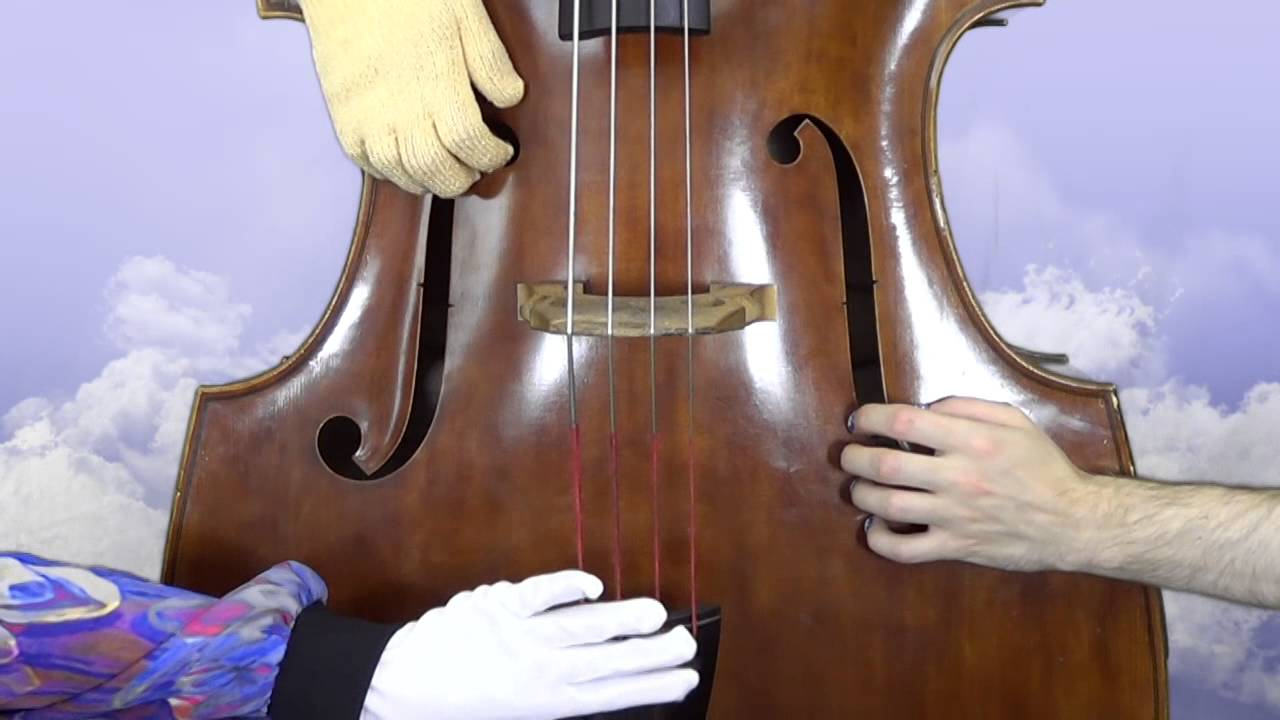 ♥️ ASMR hands on double bass 🎻