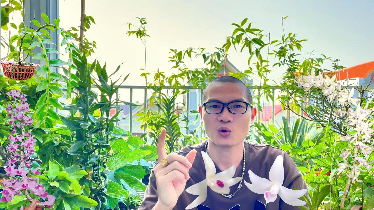 Bạn nhất định phải biết điều này khi chơi lan - Học phí chơi lan - Bình yên ở đâu?
