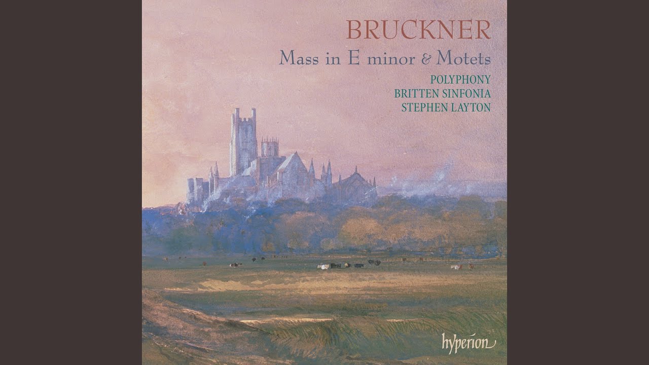 Bruckner: Mass No. 2 in E Minor, WAB 27: IV. Sanctus