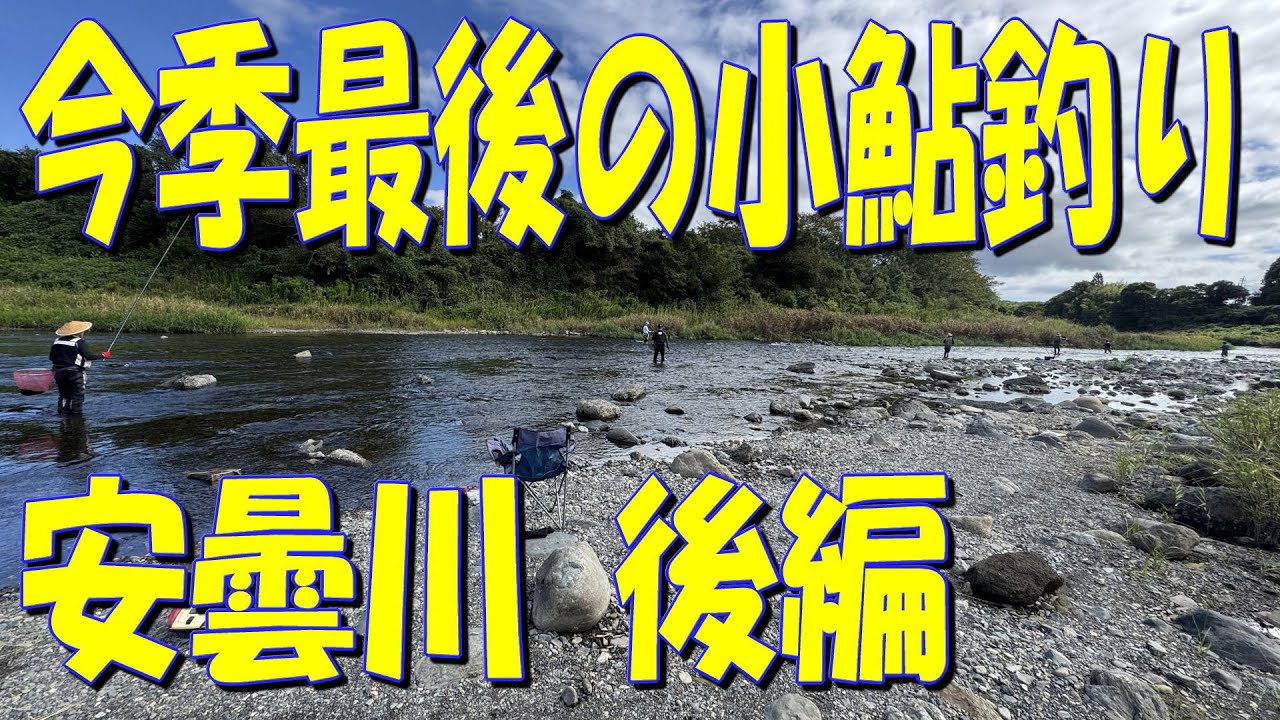 今季最後、安曇川の小鮎釣り 後編