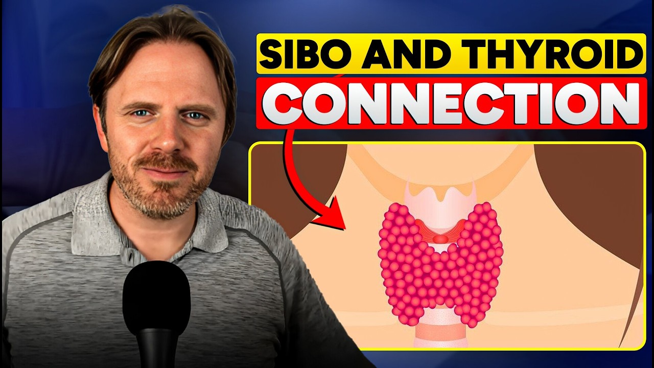 How SIBO Triggers Thyroid Hormone Imbalance