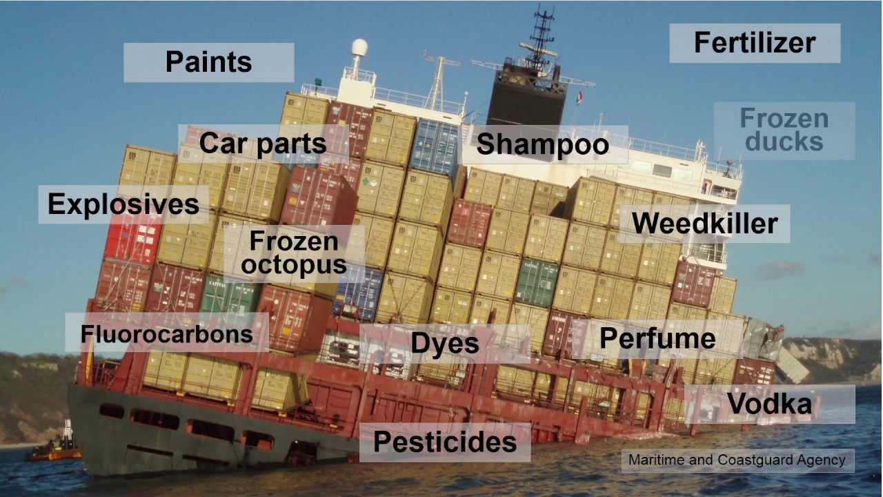 Tenth anniversary of the MSC Napoli shipwreck