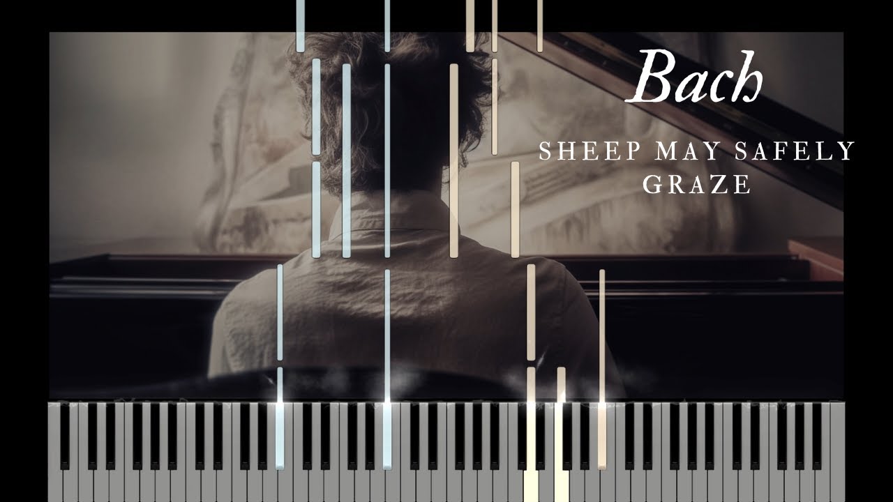 Bach - Sheep May Safely Graze - Slow piano tutorial