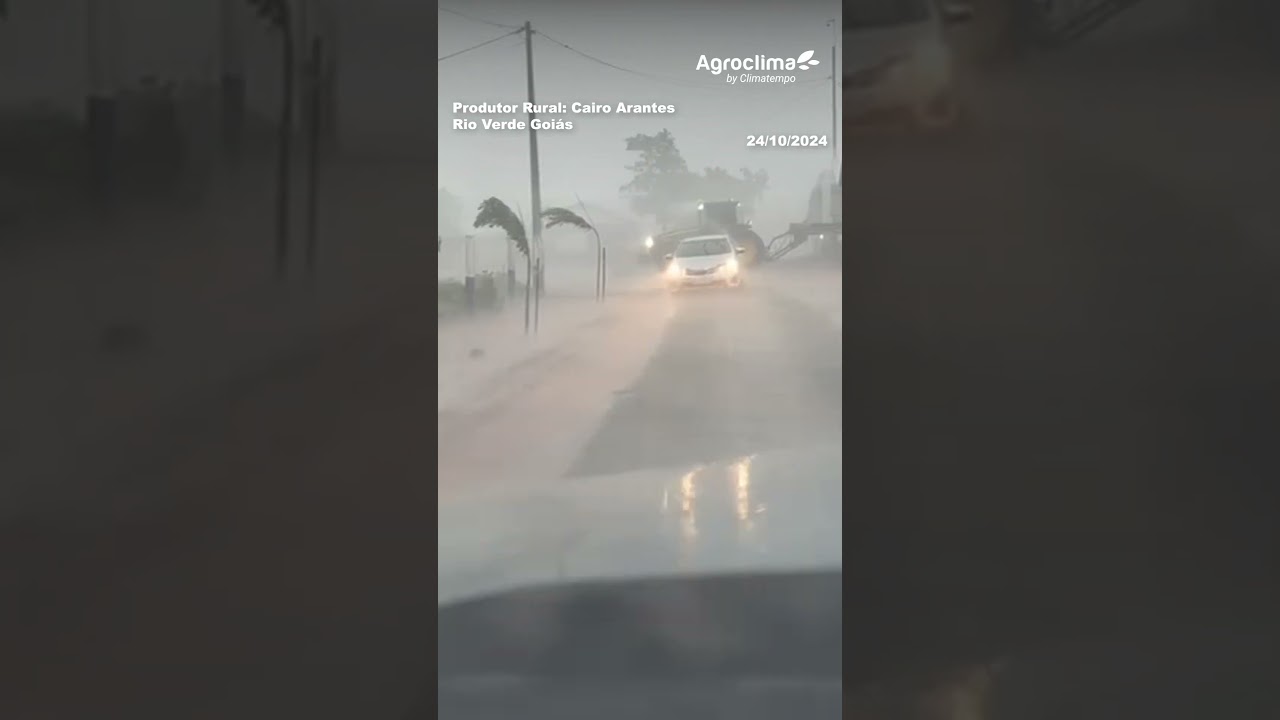 80 mm de chuva e muito vento em Rio Verde Goi&aacute;s _ 24/10/2024