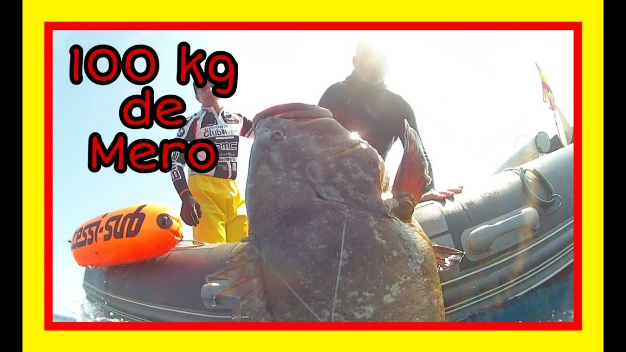 100 KILOS DE MERO
