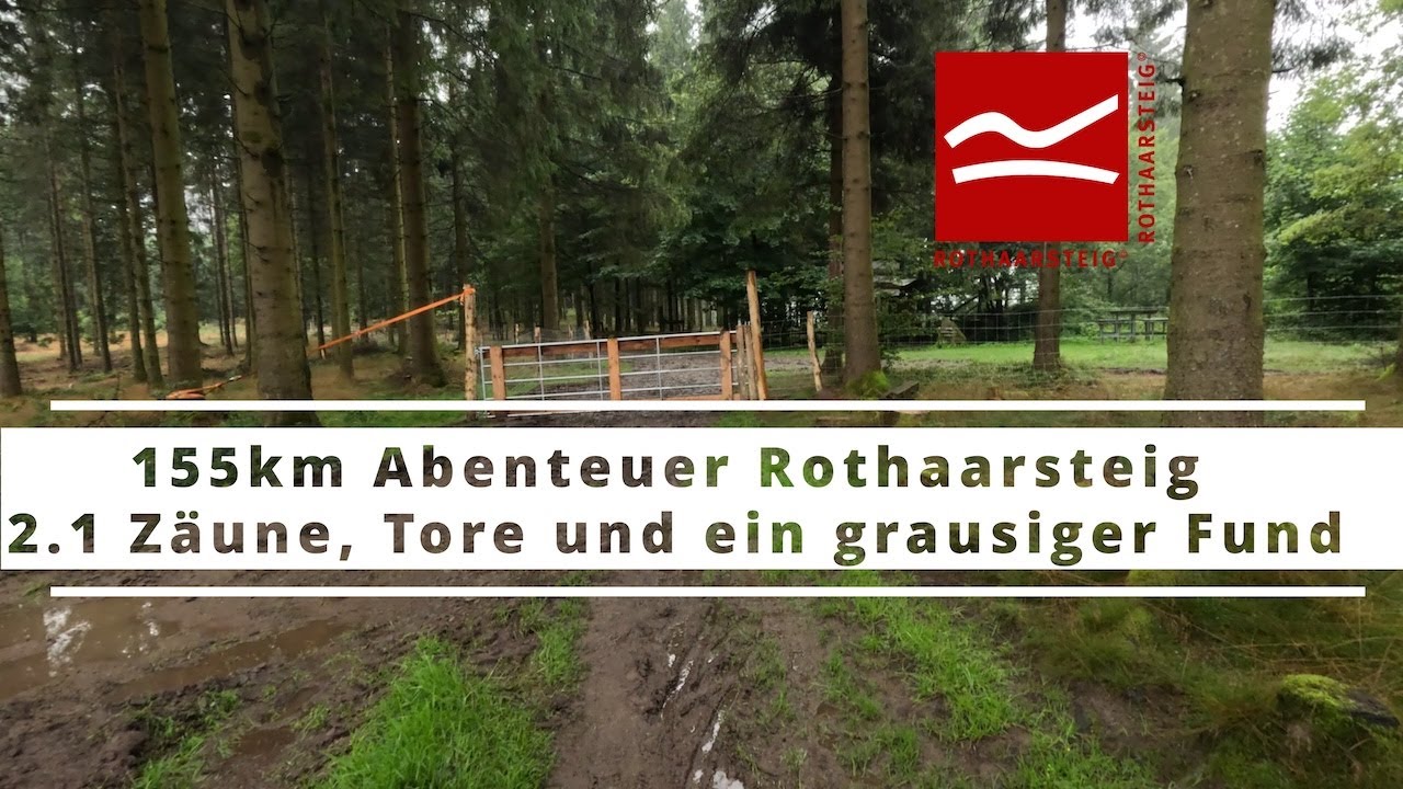 155 km Abenteuer Rothaarsteig 2025 - 2.1 Zäune, Tore und ein grausiger Fund
