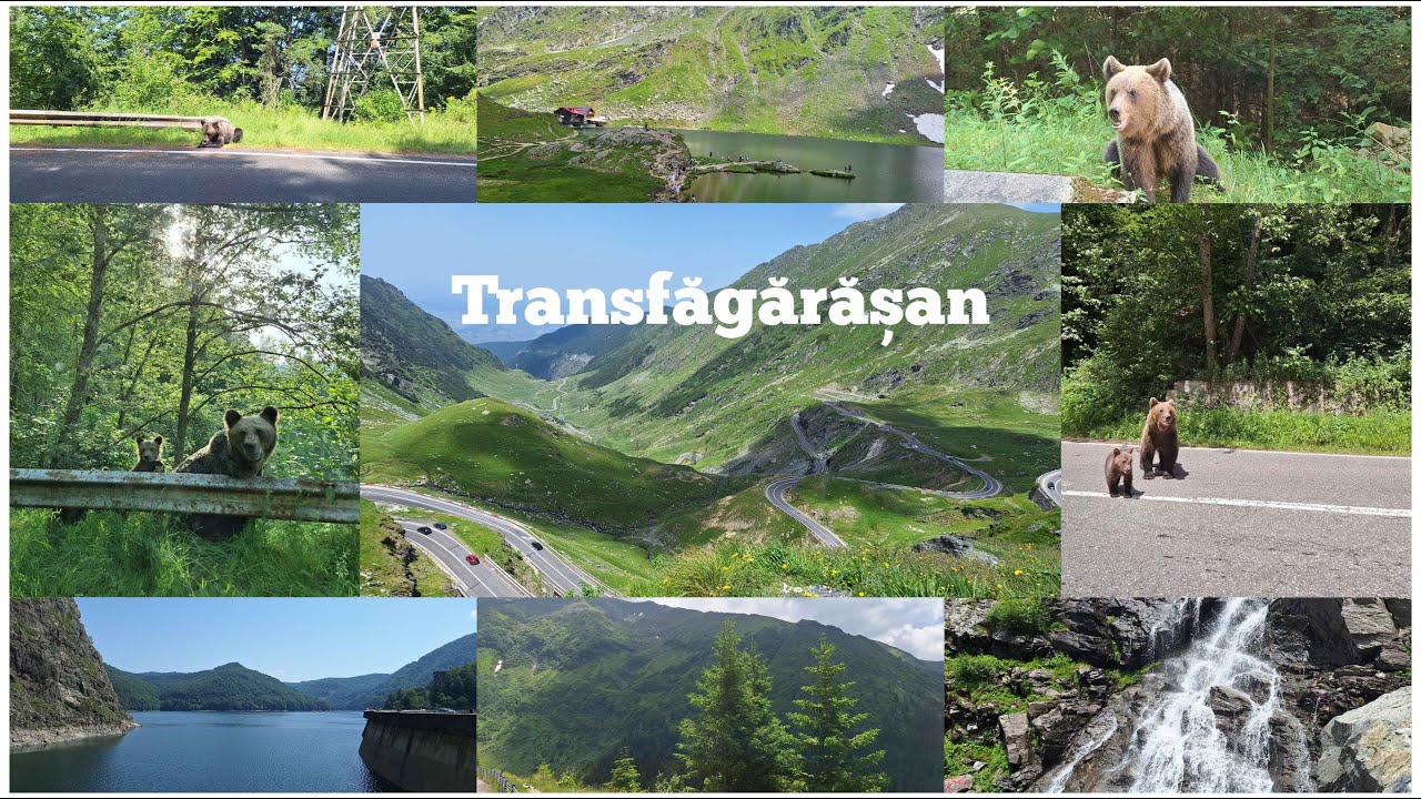 Barajul Vidraru + TRANSFĂGĂRĂȘAN: Cel mai frumos drum din lume ⛰️🗻🇷🇴 | Cabana Bâlea Lac 🏠🏞️