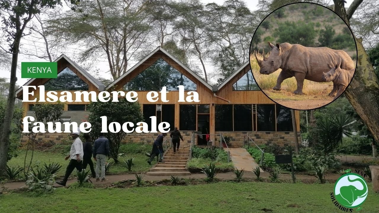 Elsamere : la flore et faune locales | Kenya | SENS SOLIDAIRES