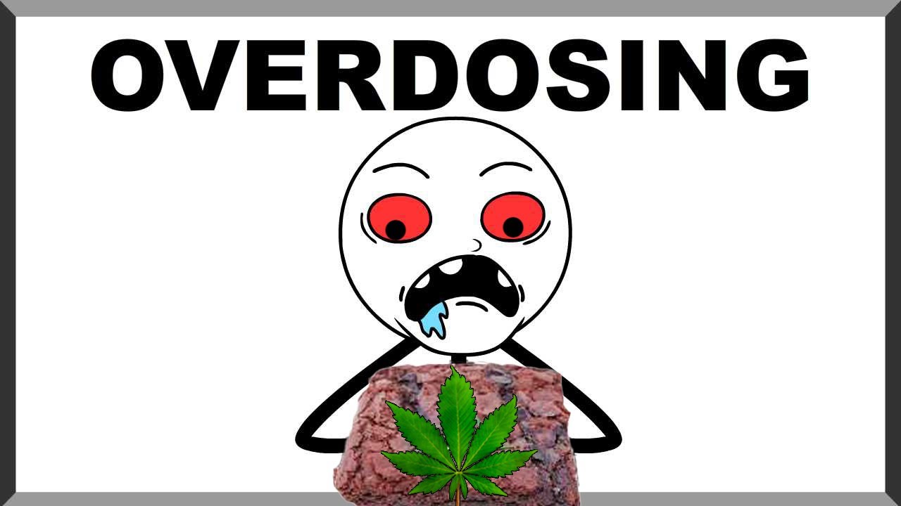 5 Stages Of Overdosing On Edibles