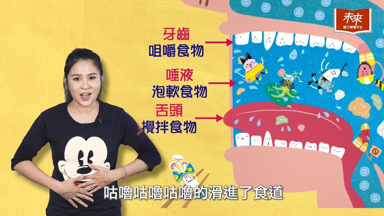 【#未來小學堂】食物吃到肚子後跑到哪呢？一起來場消化大冒險！ |   未來親子TV