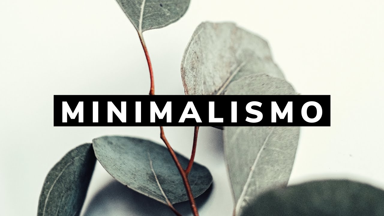 Como empezar a ser MINIMALISTA / el ser CONSCIENTE