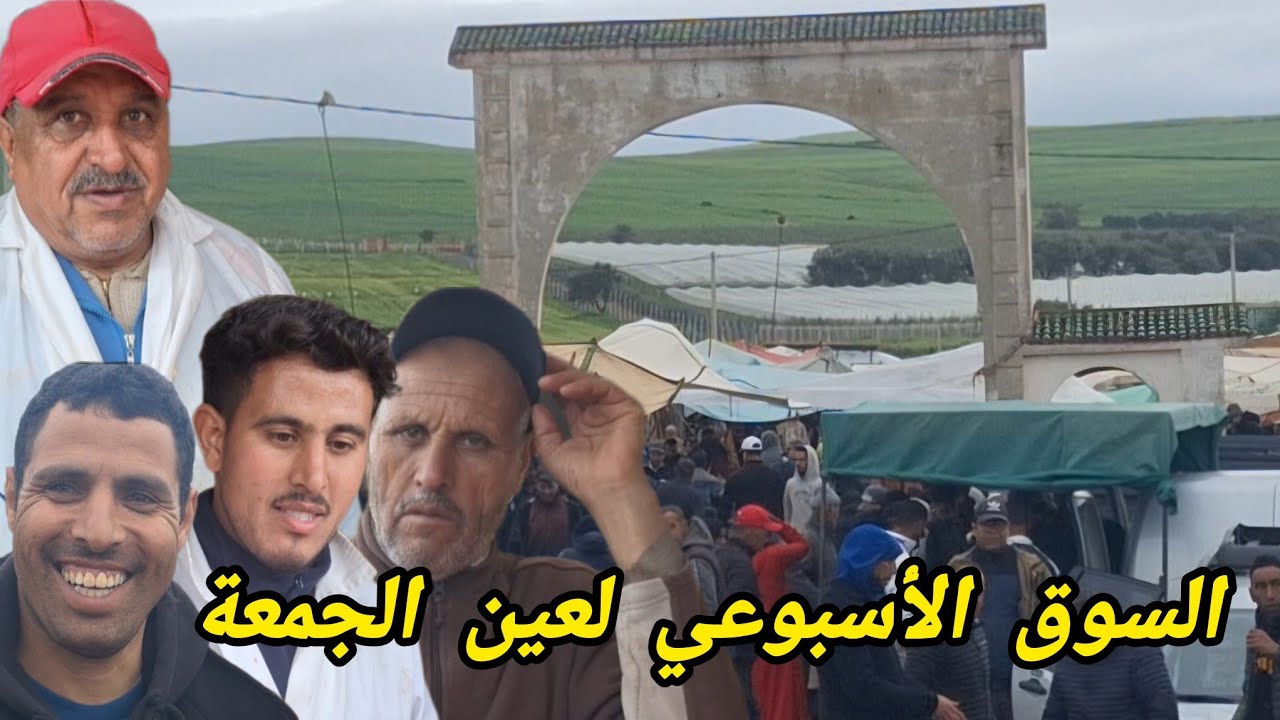 من سوق عين الجمعة📢 و أثمنة الأغنام 🐑 الدجاج 🐔البيض الزيتون🫒 الخضر الفواكه 🧅🥔 🍅 🫛🍊اللحوم الحمراء 🥩