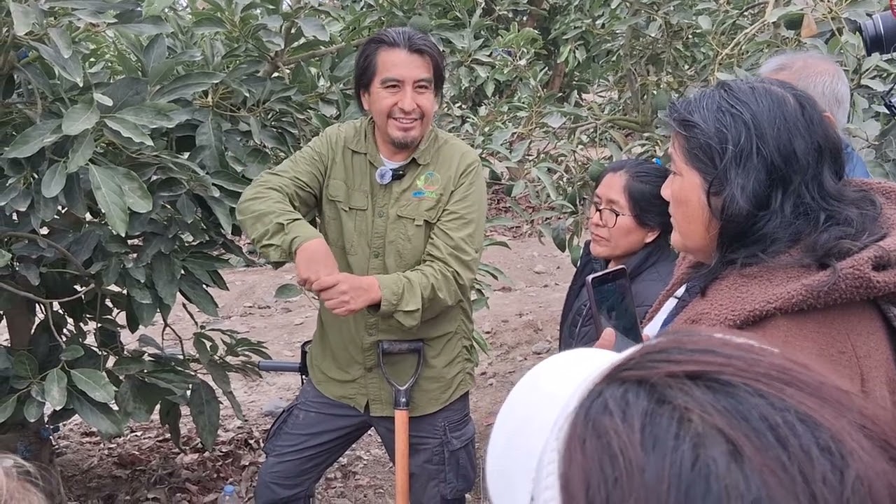 Visita de campo 2 (Taller de cultivo de palto - Cañete Perú)