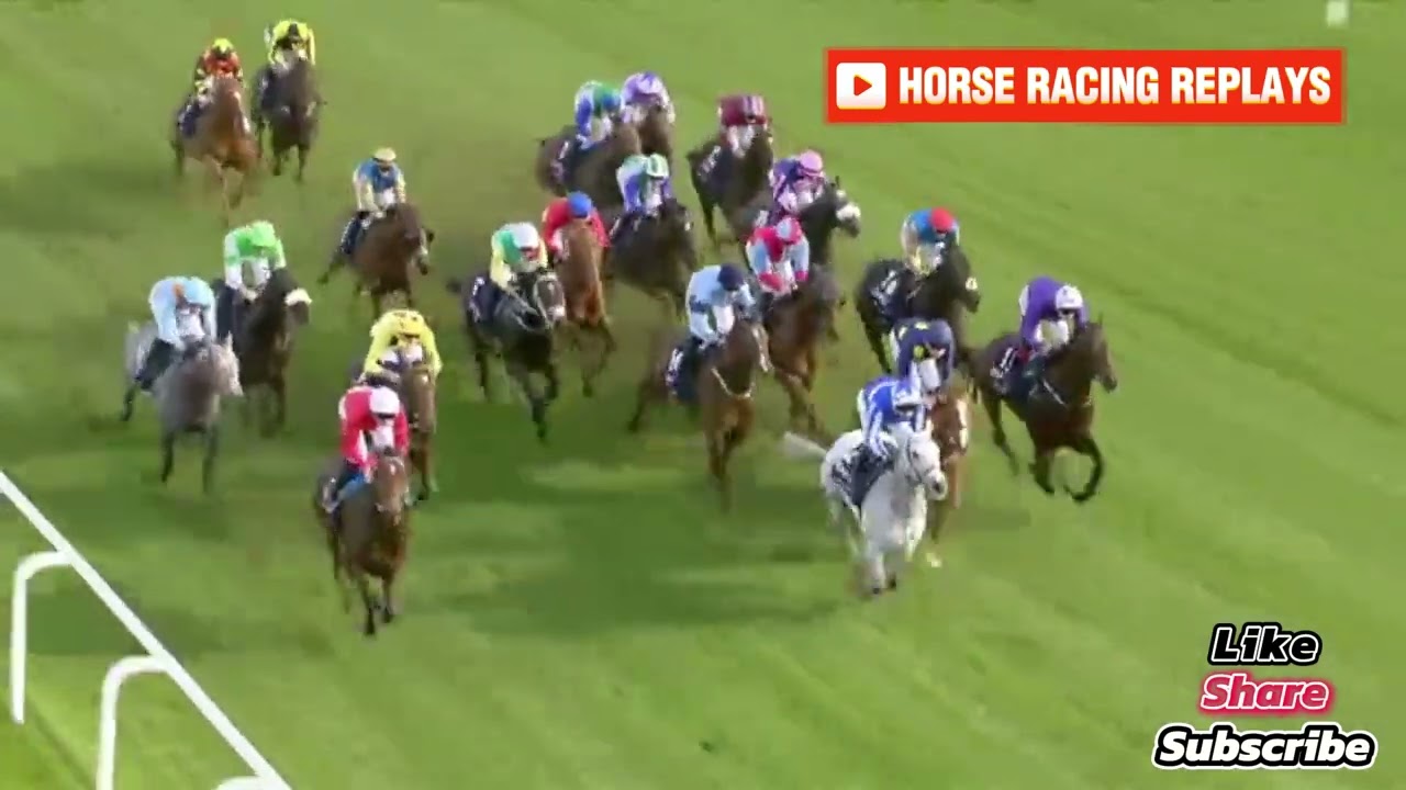 Kind Of Blue /(G1) Champions Sprint Stakes Ascot 19 oct 2024