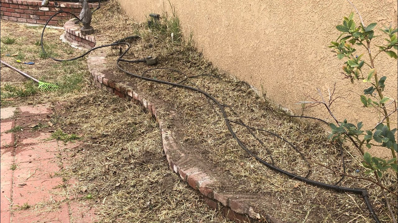 The Ugly: Garden Fails