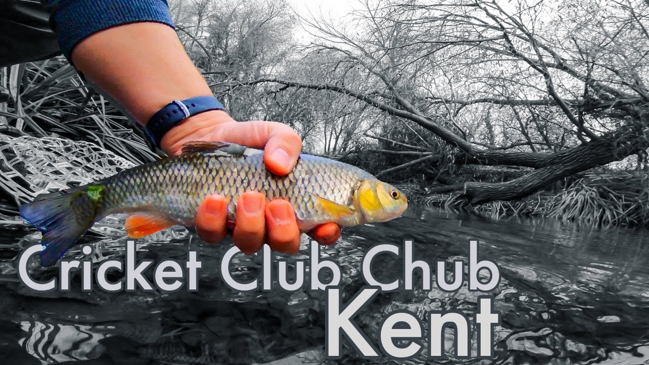 Fishing A Small Kent Brook The Traditional Crabtree Way For Chub. Stick Float & Centrepin.