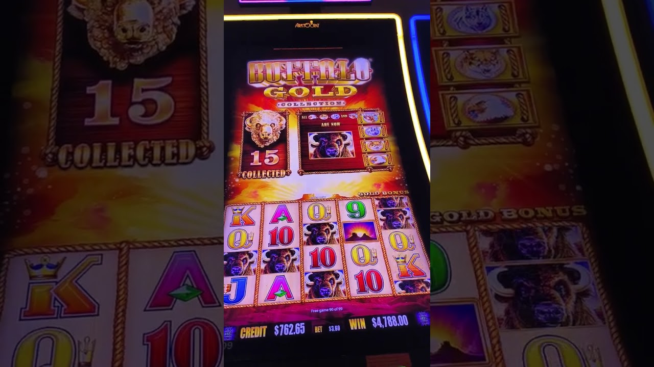 BUFFALO 🦬 GOLD HIT 🎯 on a $3.60 BET !!!! GOT 15 HEADS !!! #SOUTHLANDCASINO 