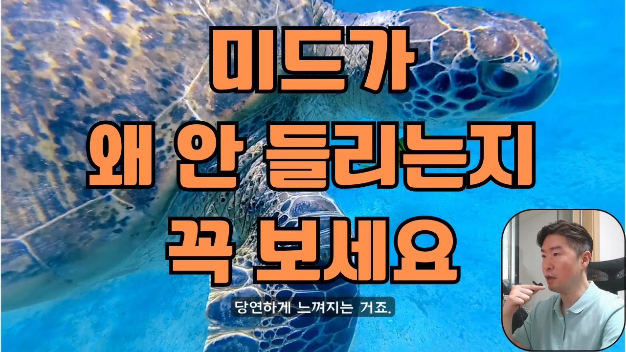 영어자막 켜놓고 미드 봐야 하는 이유