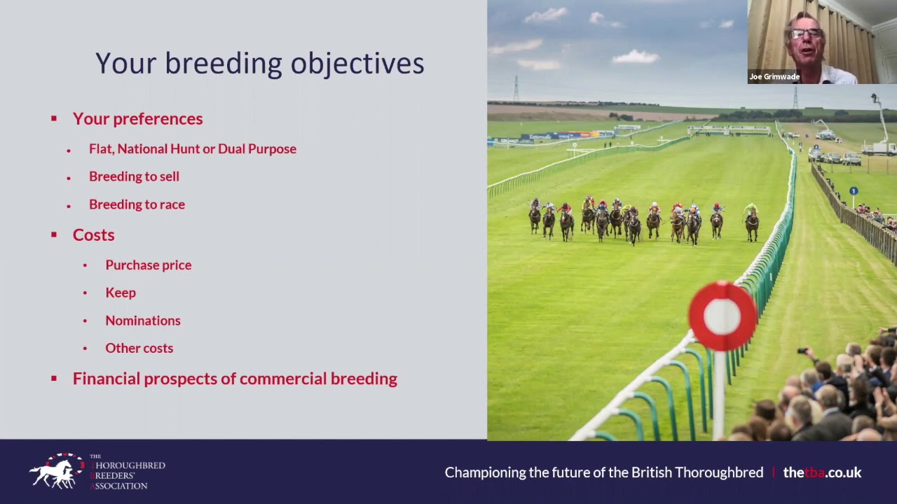 TBA WEBINAR - Breeding thoroughbred racehorses - what you need to know - 10 September 2020