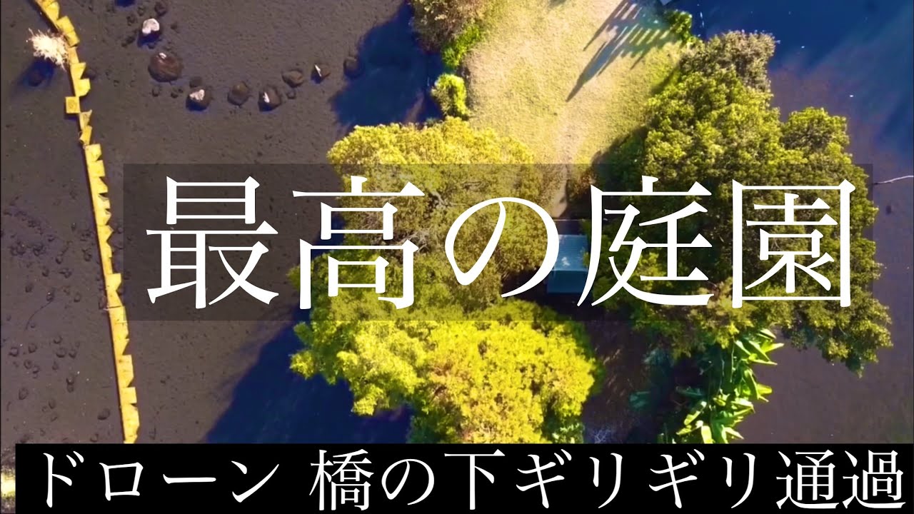 最高の庭園　ドローン空撮　鯉空撮まさかの水面と橋の間を通過、、、 #mavicmini#ドローン#空撮#庭園