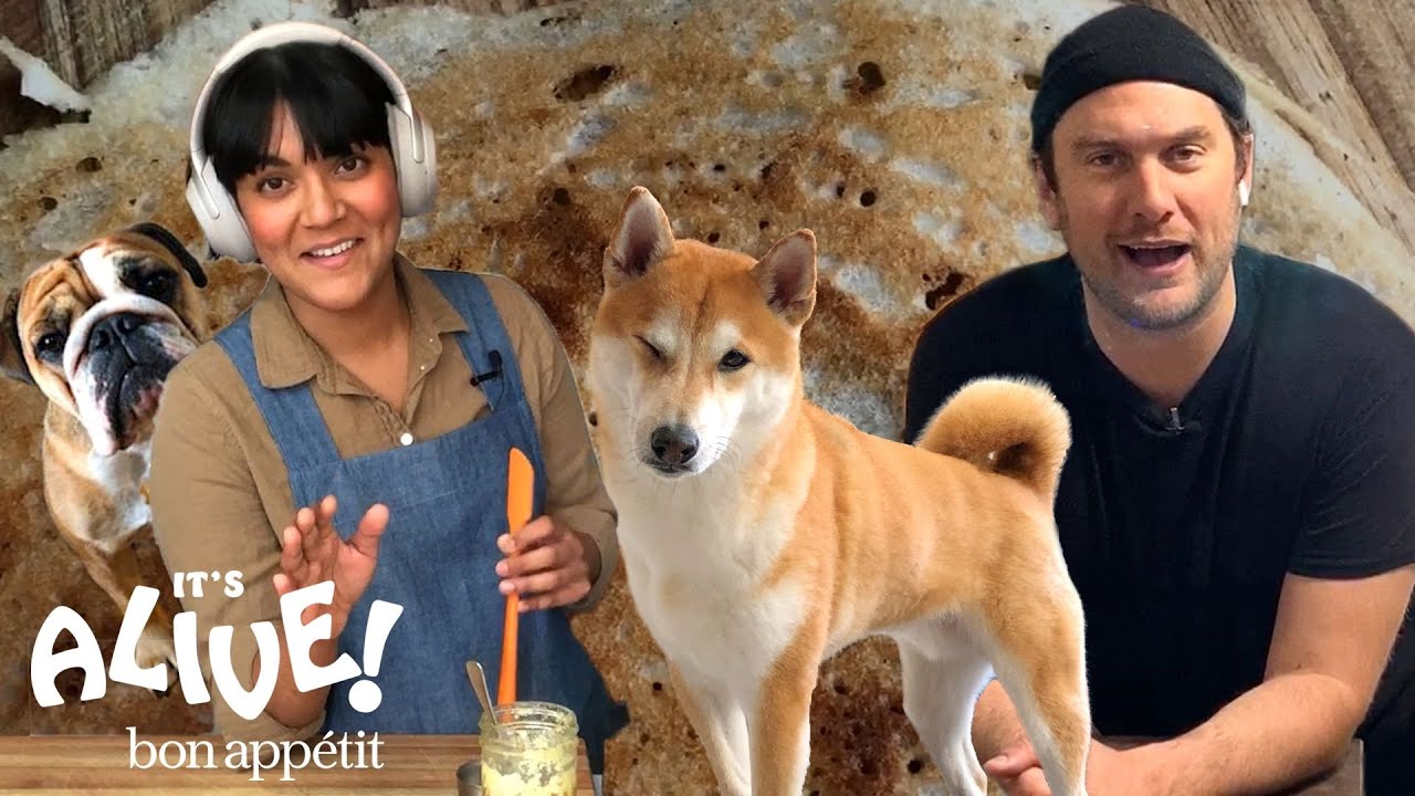 Brad and Sohla Make Dosas | It's Alive @ Home | Bon App&eacute;tit
