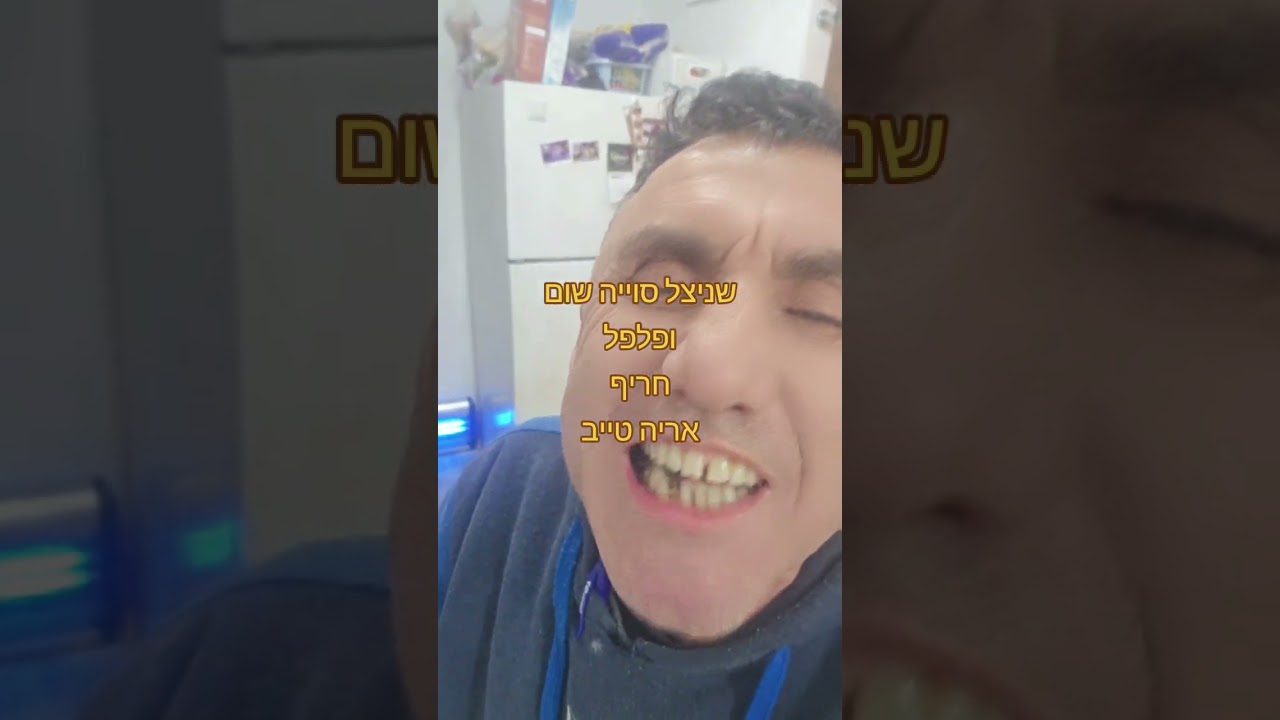 שניצל סוייה מפוצץ בחלבון אריה טייב 
