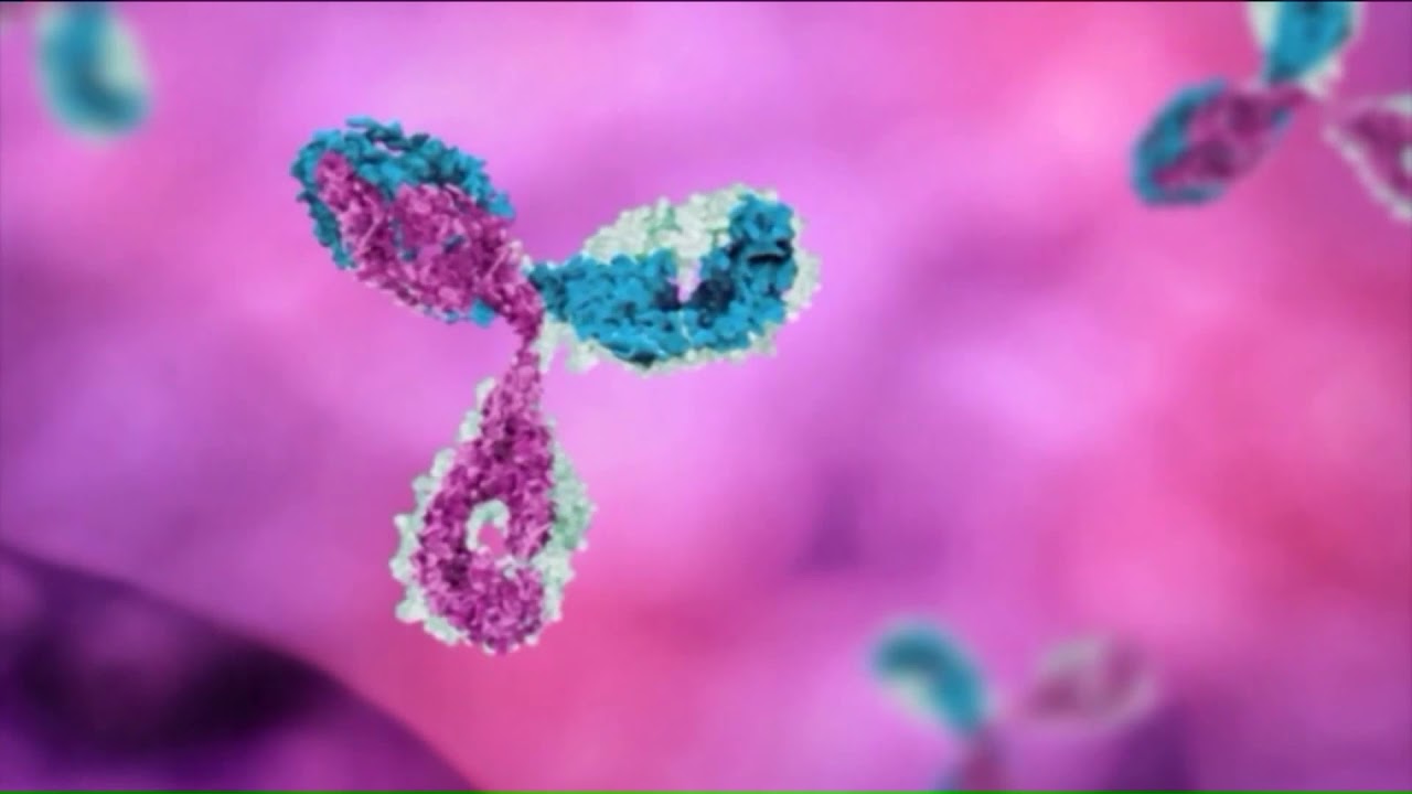 Two St. Clair County women among several new positive Illinois coronavirus cases
