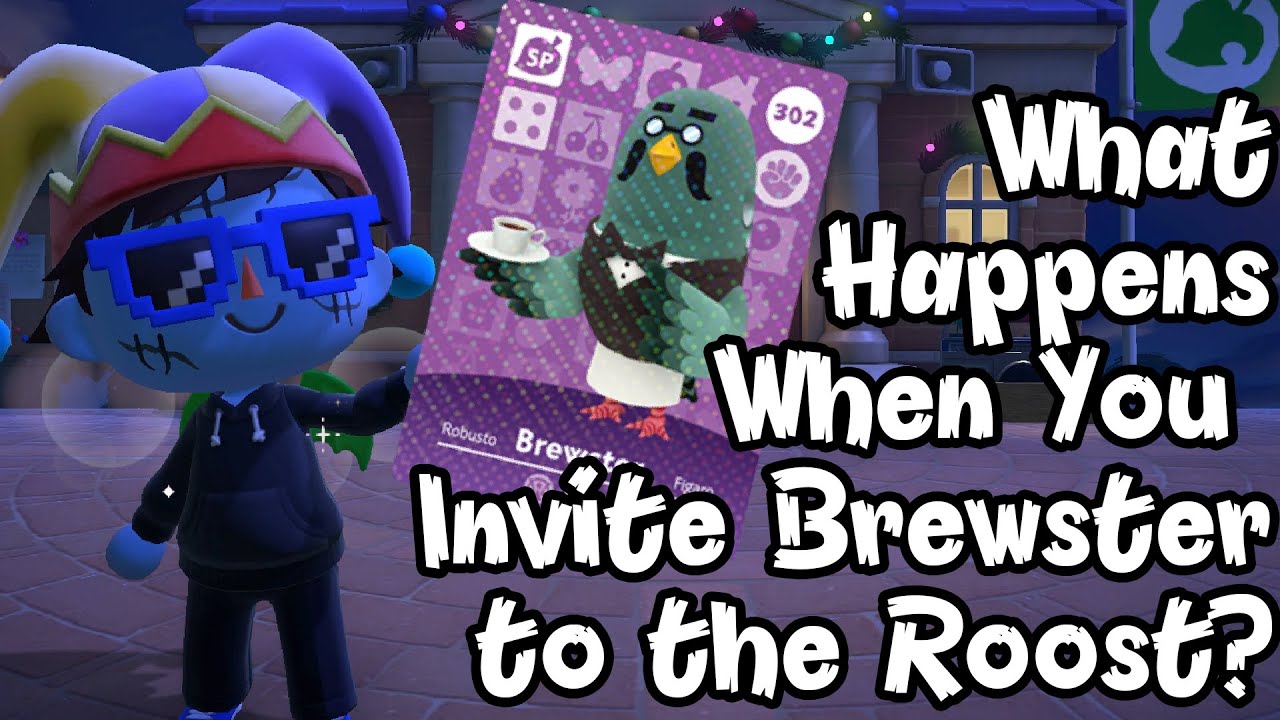 What Happens when you Invite Brewster to the Roost w/ an Amiibo Card