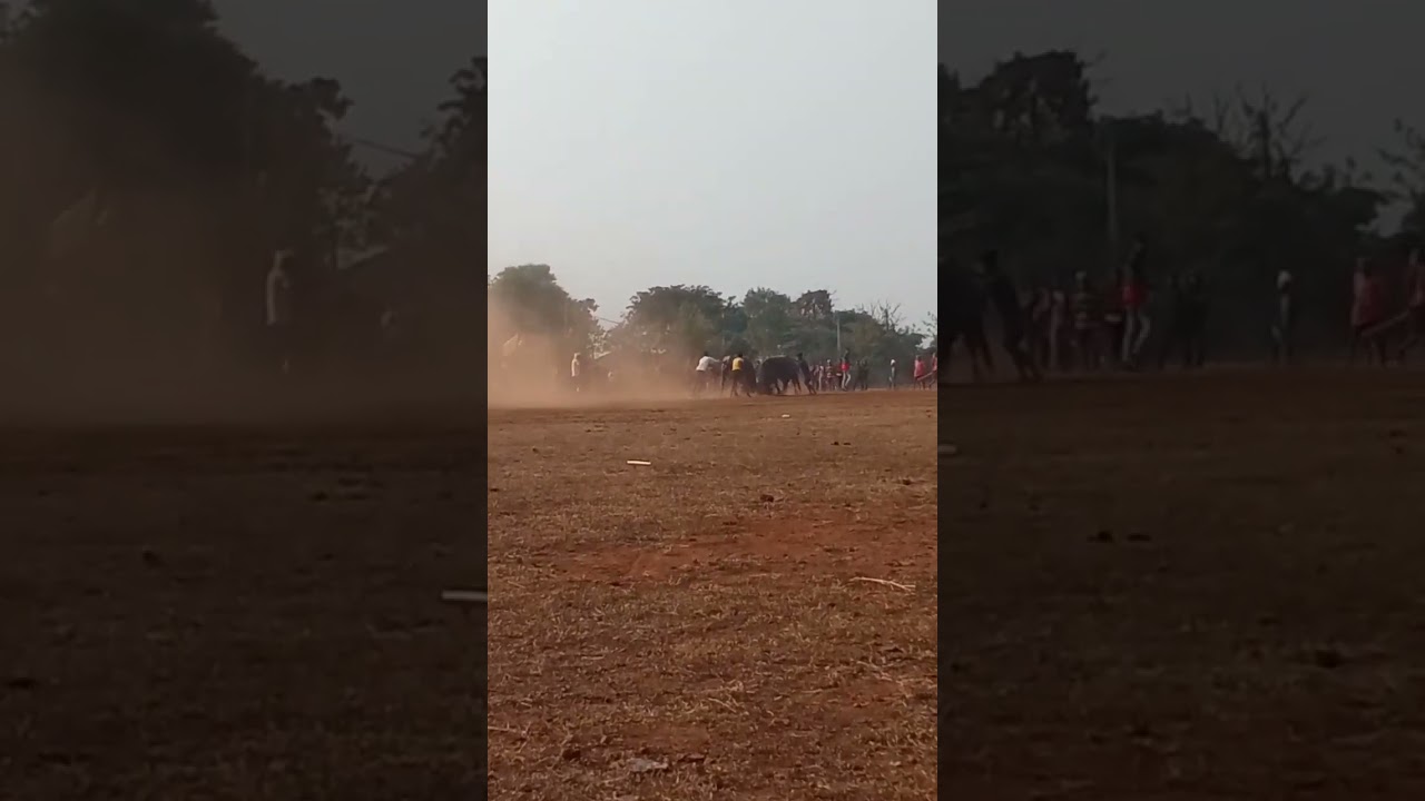 Kada ropok Santali // telopara 
