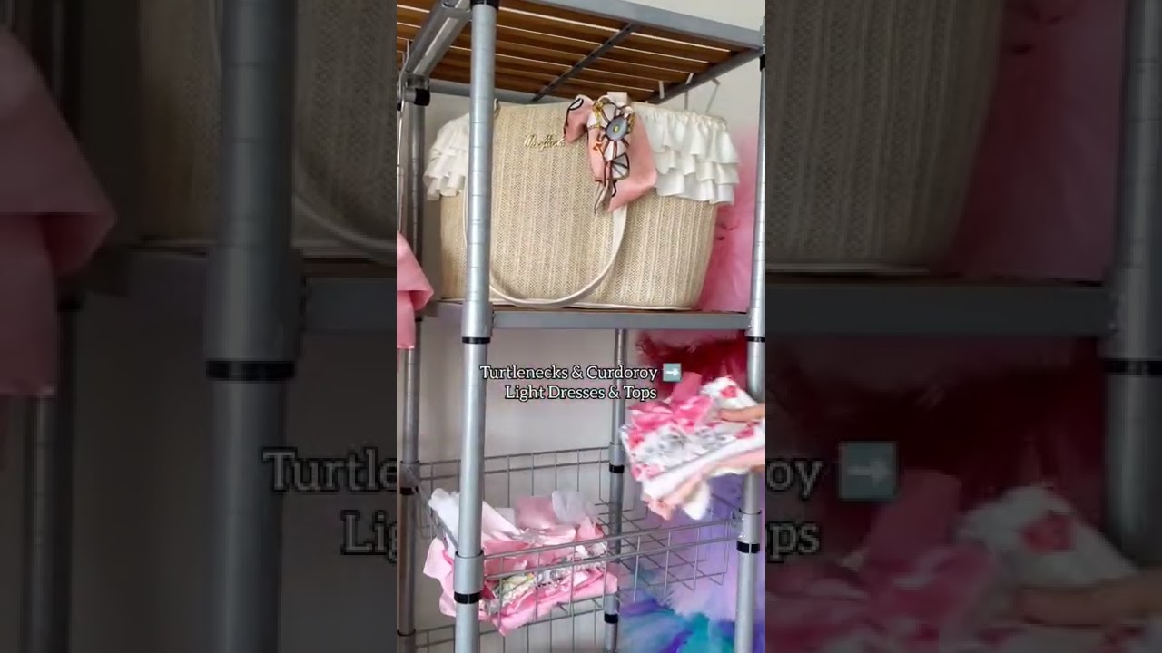 Dog Closet Update! (Part 2) For the Spring/Summer with New Accessories! #shorts #dog #dogfashion