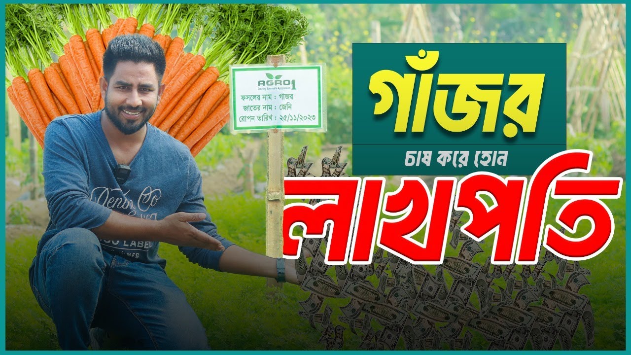 গাজর চাষ করে হোন লাখপতি  | এগ্রো-১সীডের জেনি জাতের গাজর | এগ্রো -১ গ্লোবাল লিমিটেড