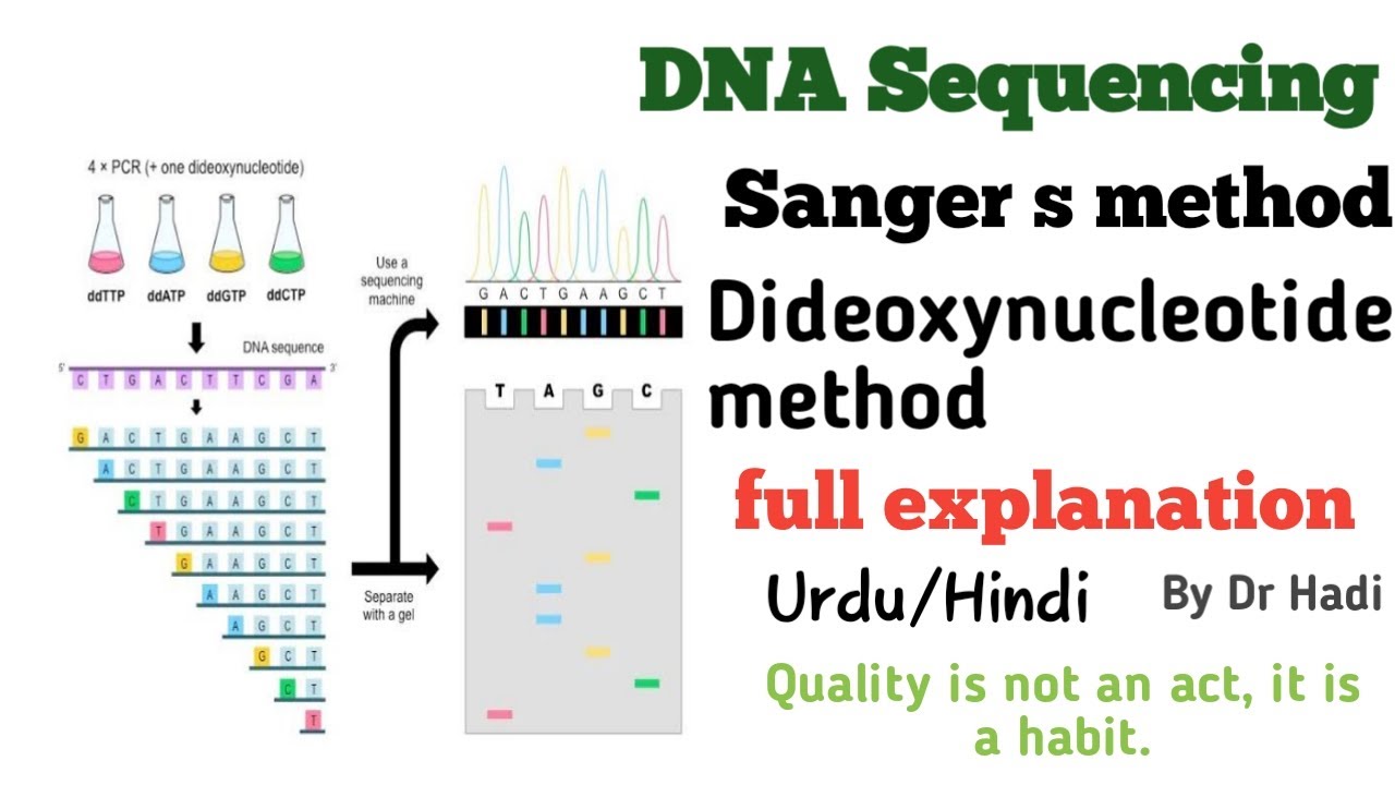 L-7 DNA sequencing, Dideoxy nucleotide method, Sanger 's method