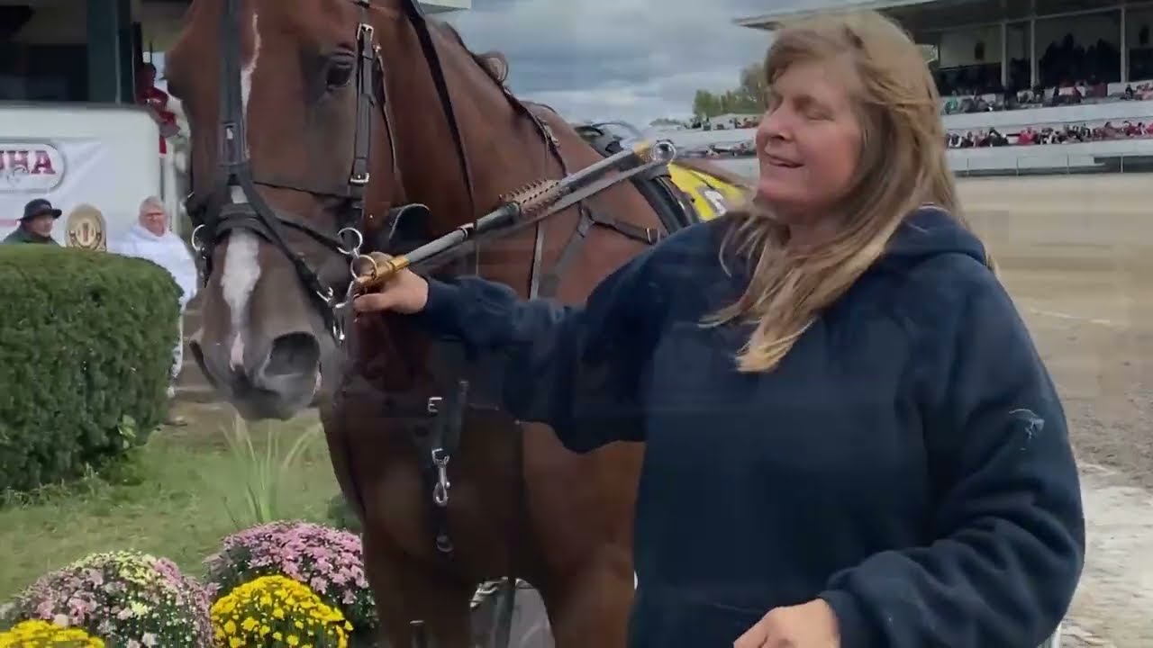 What do you know about the Standardbred?