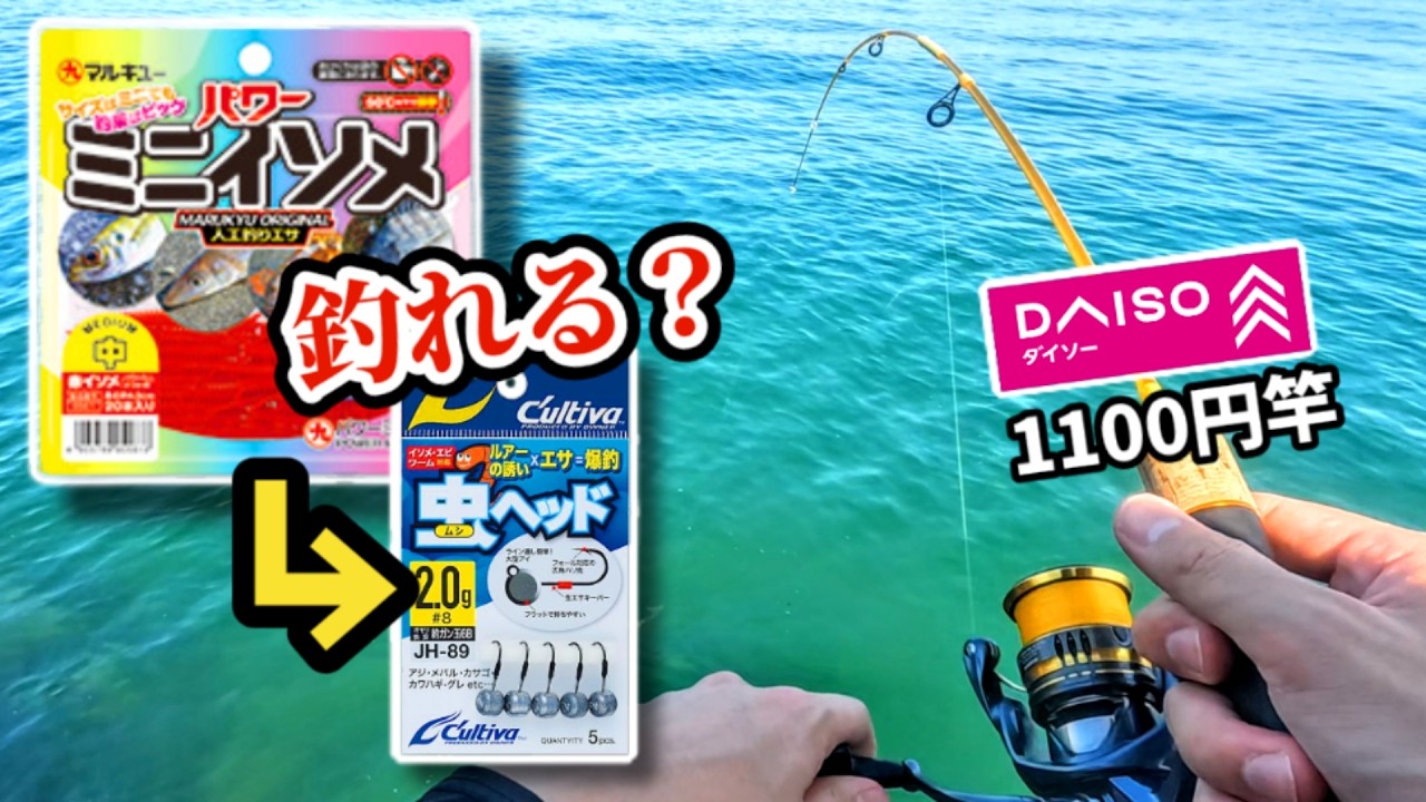 【ダイソーレンジャー】パワーイソメ＋虫ヘッドの実力は!?￥1100竿でキスを狙え!!!